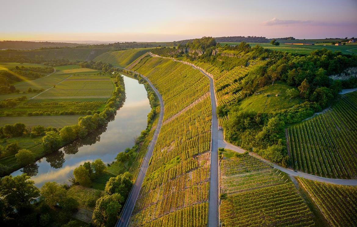 Exnicrum Wein . Genuss . Hotel Hessigheim Екстериор снимка